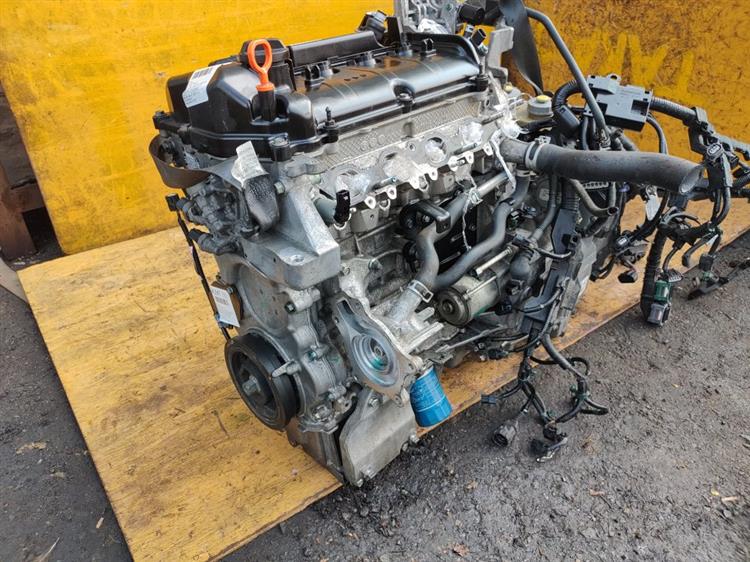 Двигатель Хонда Джаде во Владивостоке 43547