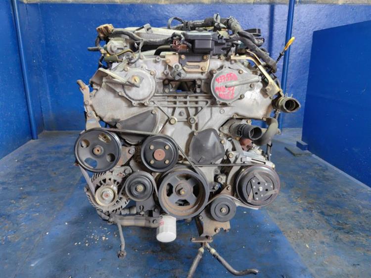 Двигатель Ниссан Эльгранд во Владивостоке 437558