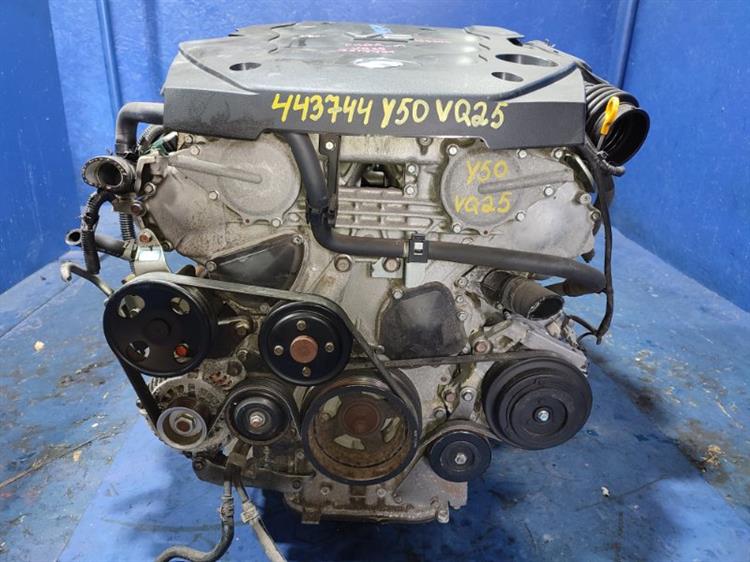 Двигатель Ниссан Фуга во Владивостоке 443744
