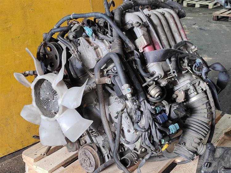 Двигатель Ниссан Эльгранд во Владивостоке 51254