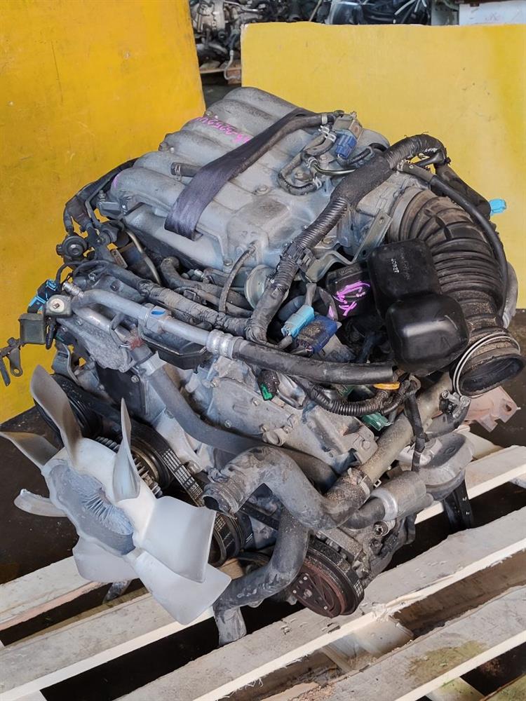 Двигатель Ниссан Эльгранд во Владивостоке 51266